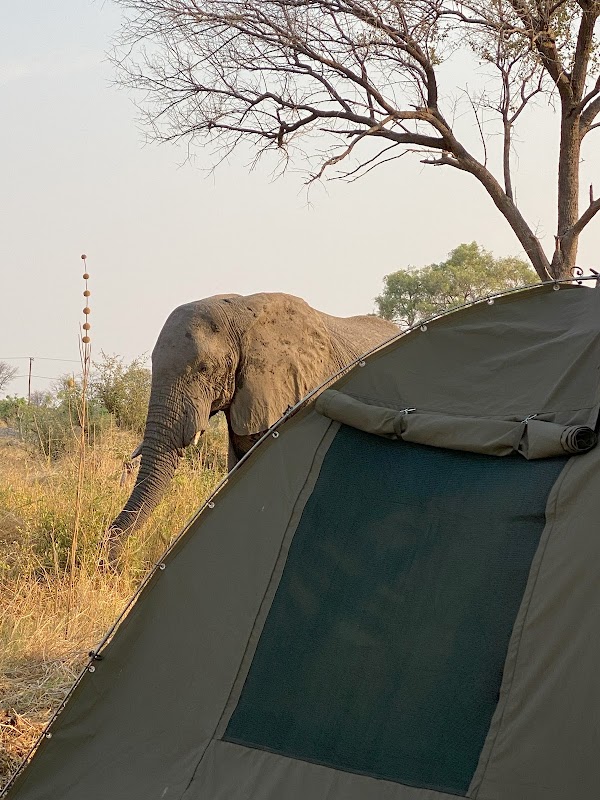 Mababe River Lodge & Campsite 2