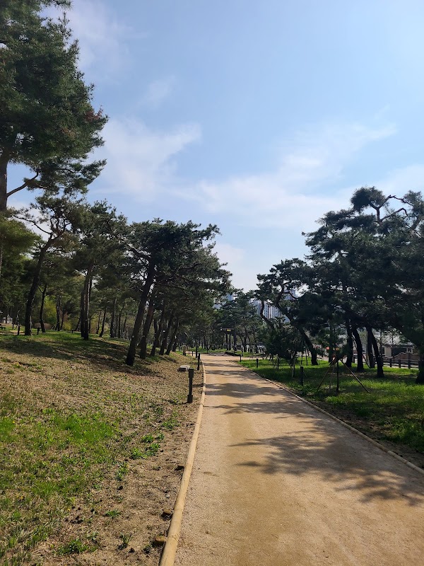 노송공원