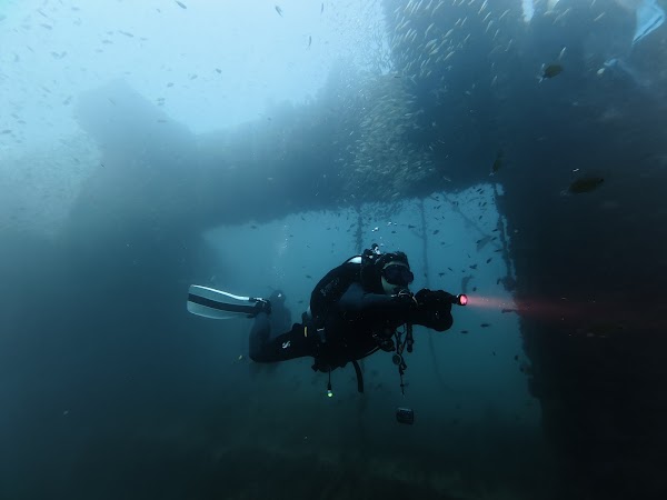 King cruiser Wreck diving