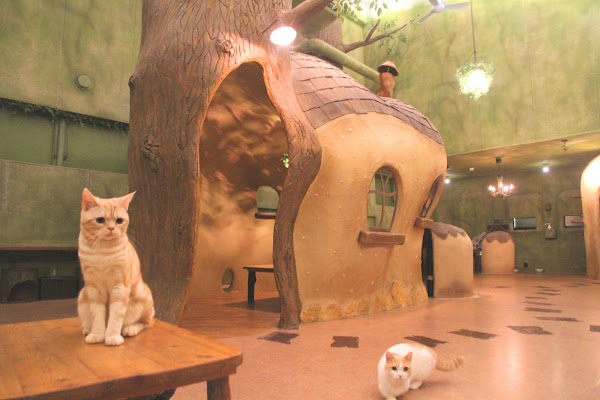 Temari no Ouchi 4
