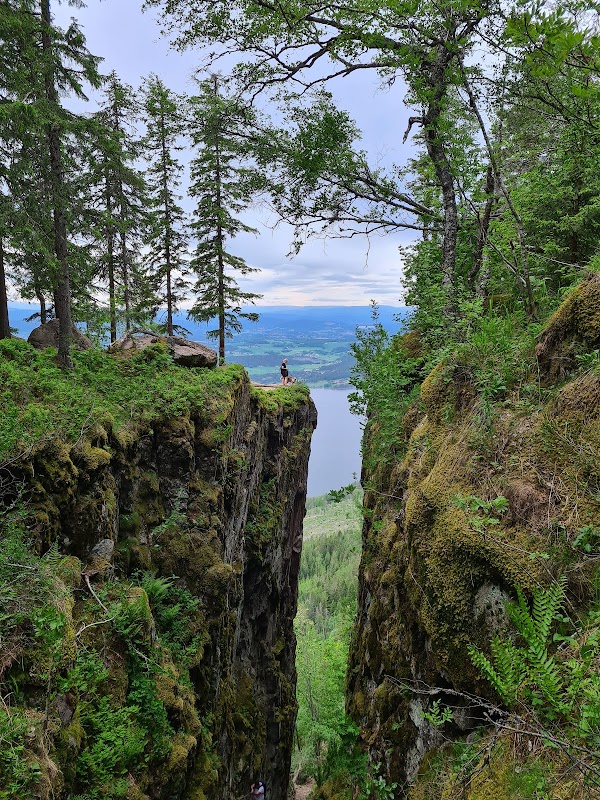 Mørkgonga 1