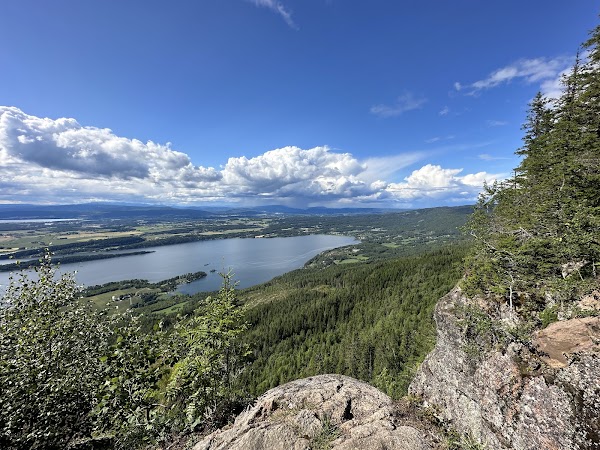 Mørkgonga 4
