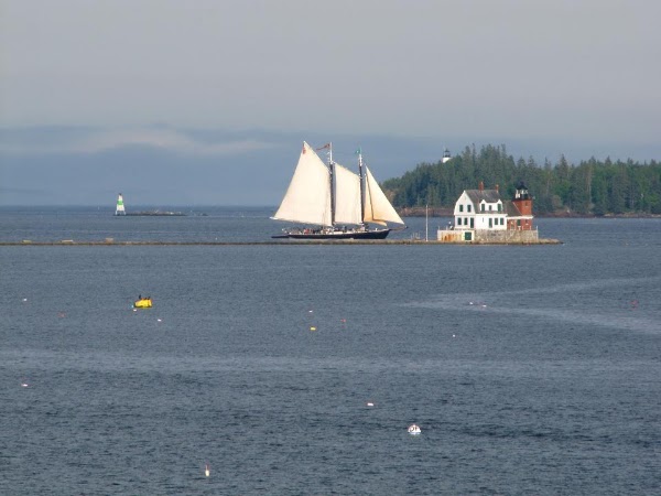 Maine 43