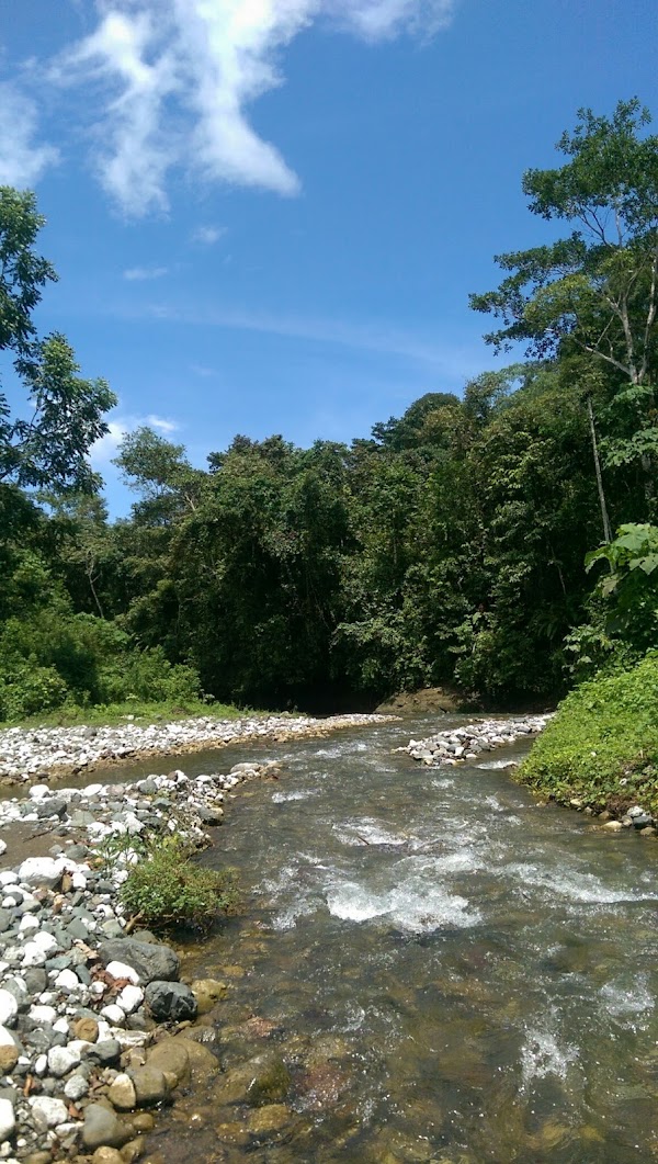 Osa Peninsula 4
