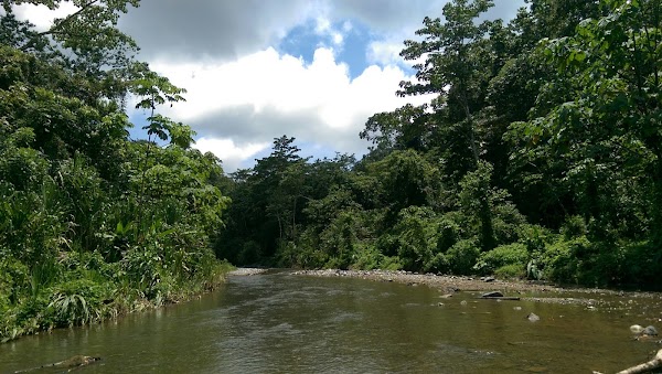 Osa Peninsula 2
