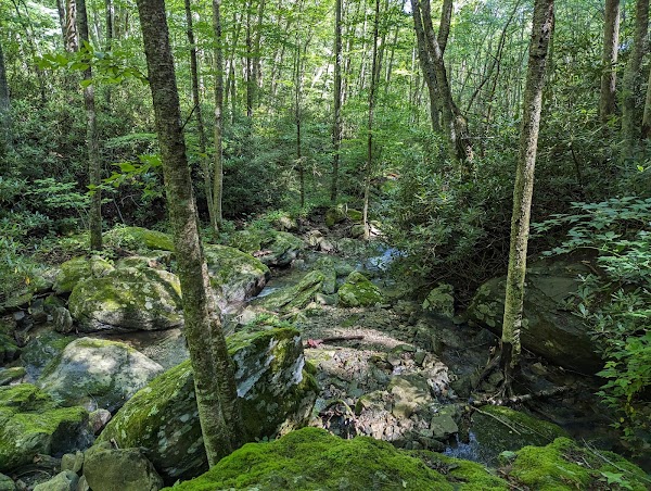 Grandfather Mountain Profile Trail Parking Lot 4