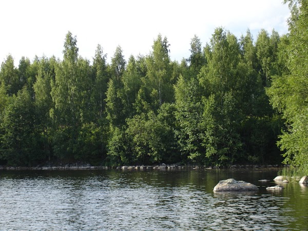 Kuopio 5