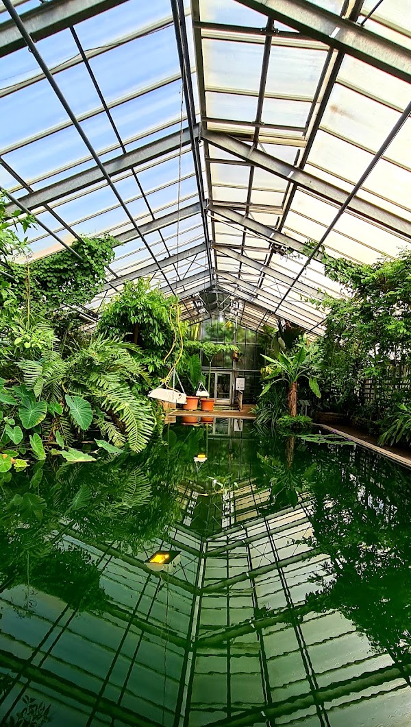 Poppelsdorf Palace 2