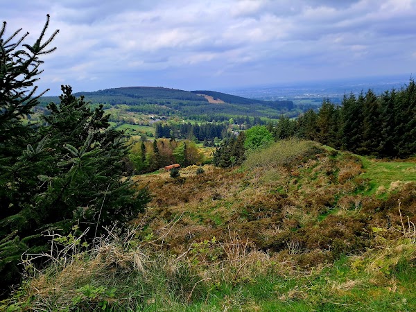 Ticknock Forest Car Park 5