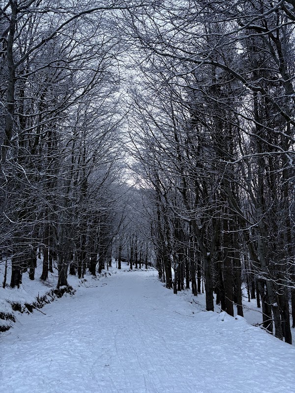 Ticknock Forest Car Park 2