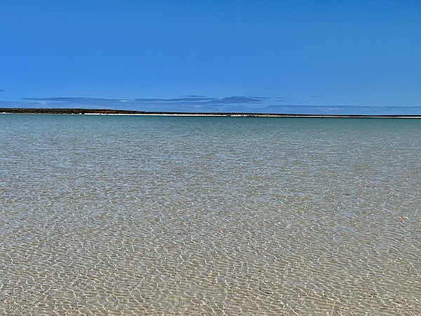 Herald Bight