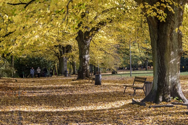 Kasprowicz Park 1