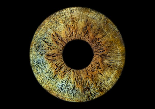 Eyemazy Soho London Iris Photography 2