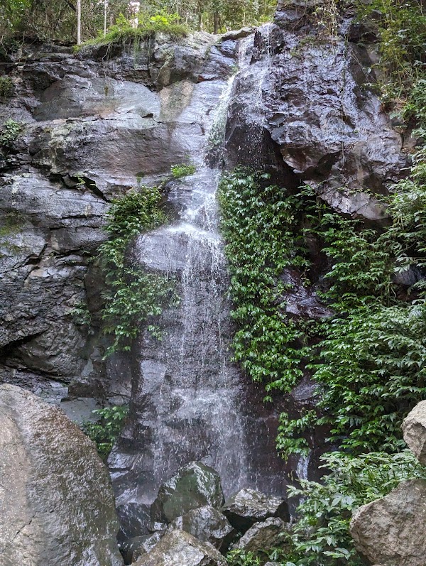 Festoon Falls