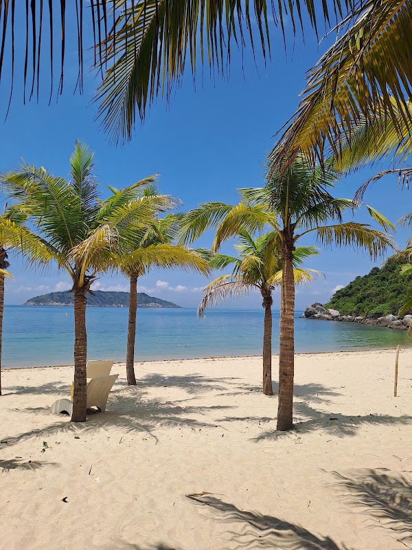 Bãi Bắc Beach (Cham Island)