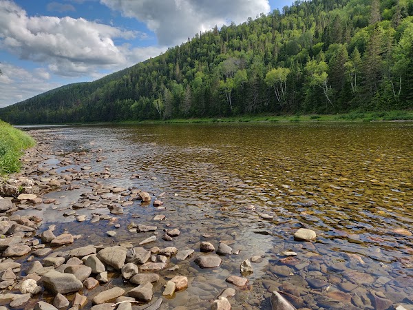 Matapedia River 1