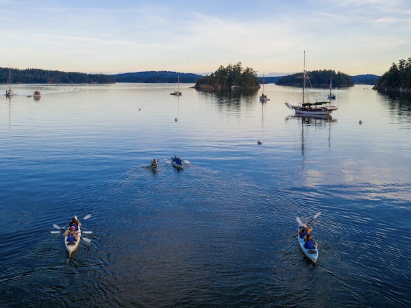 Shearwater Kayak Tours 1