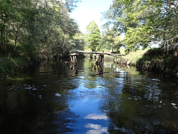 Shingle Creek 5