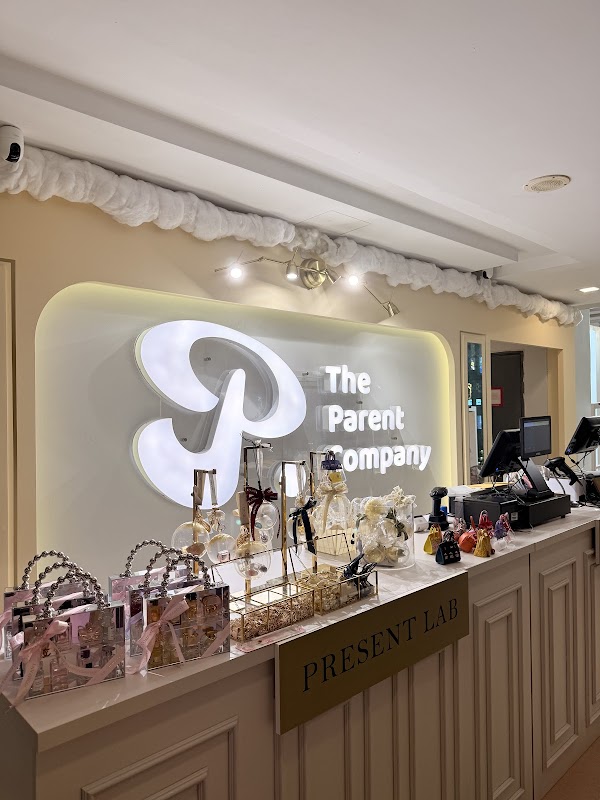 THE PARENT COMPANY 3