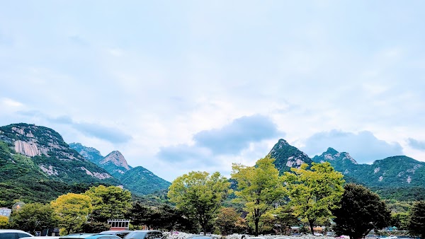 Seoul 29