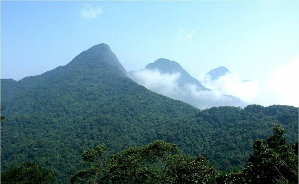 Tam Dao National Park 1