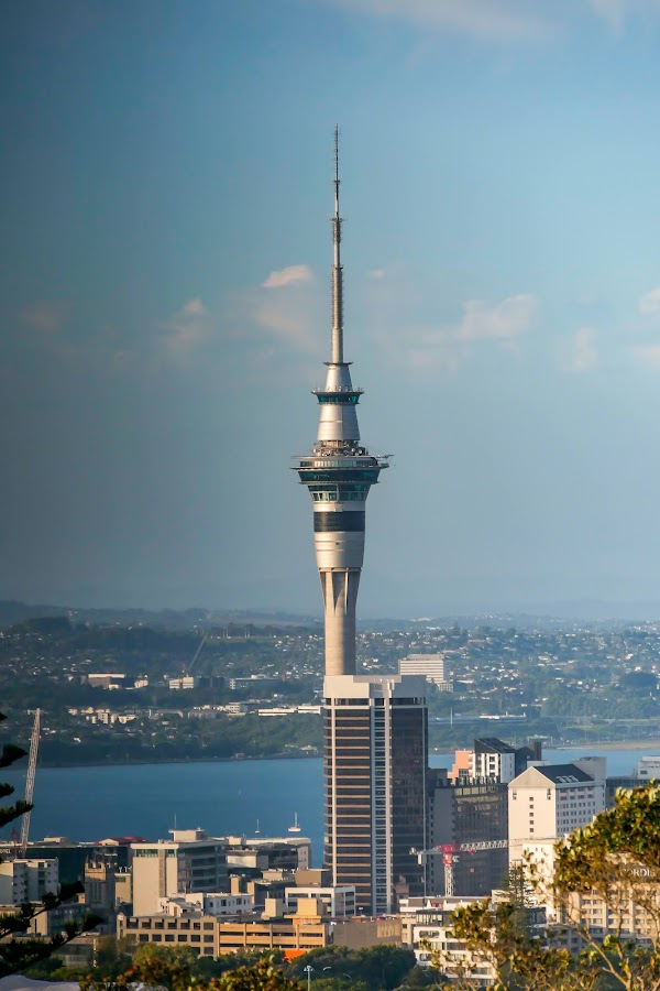 Mount Eden 5