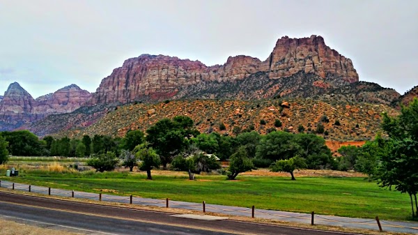 Springdale 3