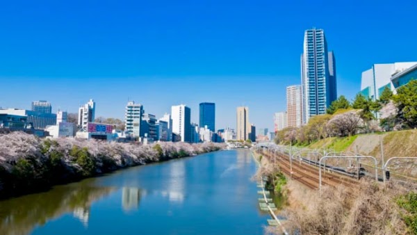 Tokyo 75