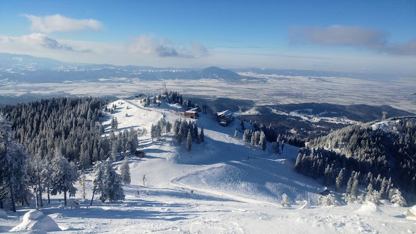 Brașov 5