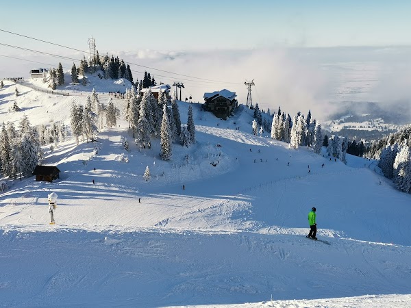 Brașov 4