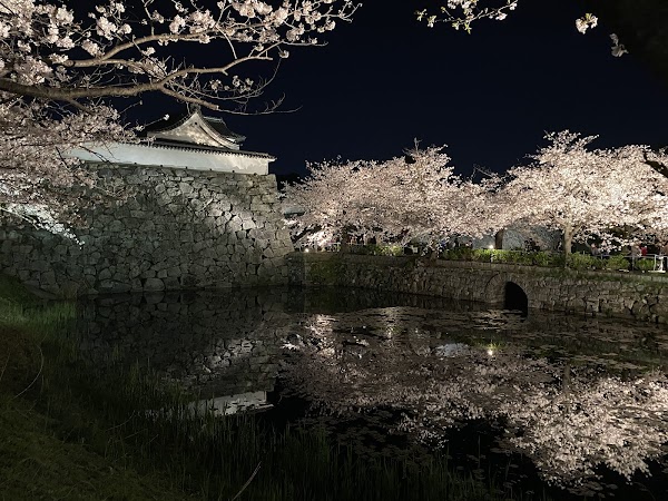 Maizuru Park 5