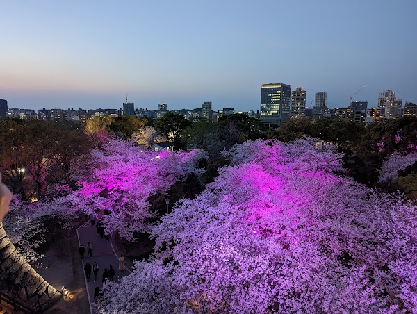 Maizuru Park 4