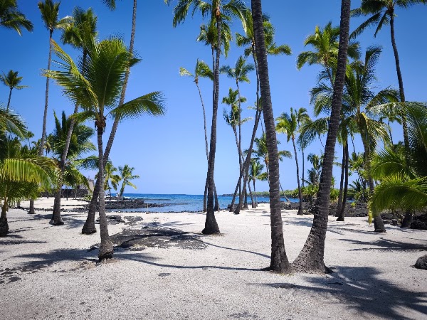Pu'uhonua O Honaunau National Historical Park 3