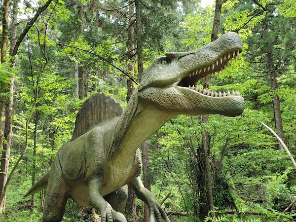 Katsuyama Dinosaur Forest Nagaoyama Park 5