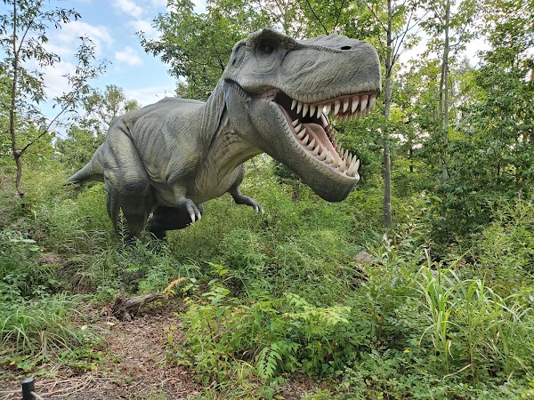 Katsuyama Dinosaur Forest Nagaoyama Park 4