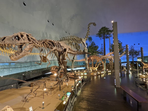 Katsuyama Dinosaur Forest Nagaoyama Park 3