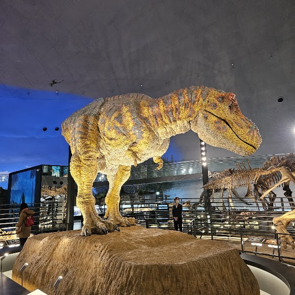 Katsuyama Dinosaur Forest Nagaoyama Park 2