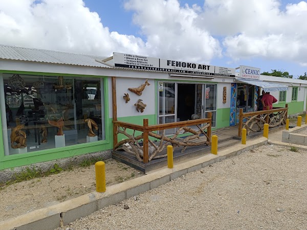 Fehoko Art Creations & The Arts of Tonga 1