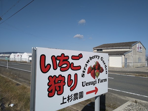 Uesugi Farm 2