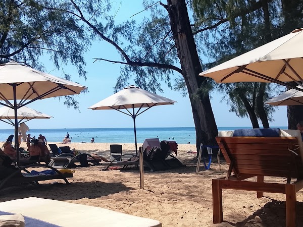 Vibe Beach