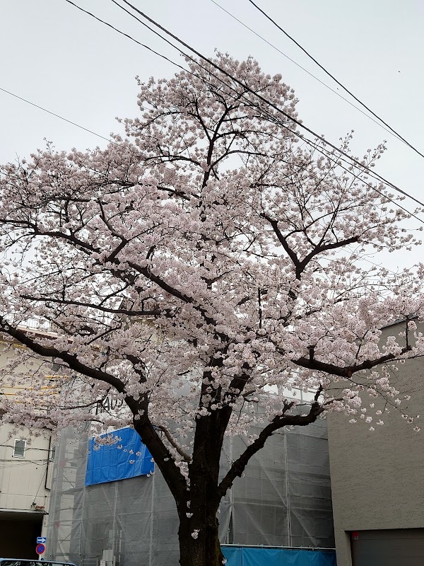 Meguro City 3