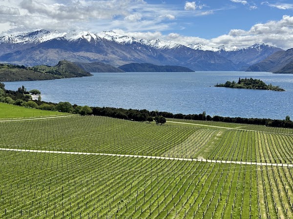 Rippon 5