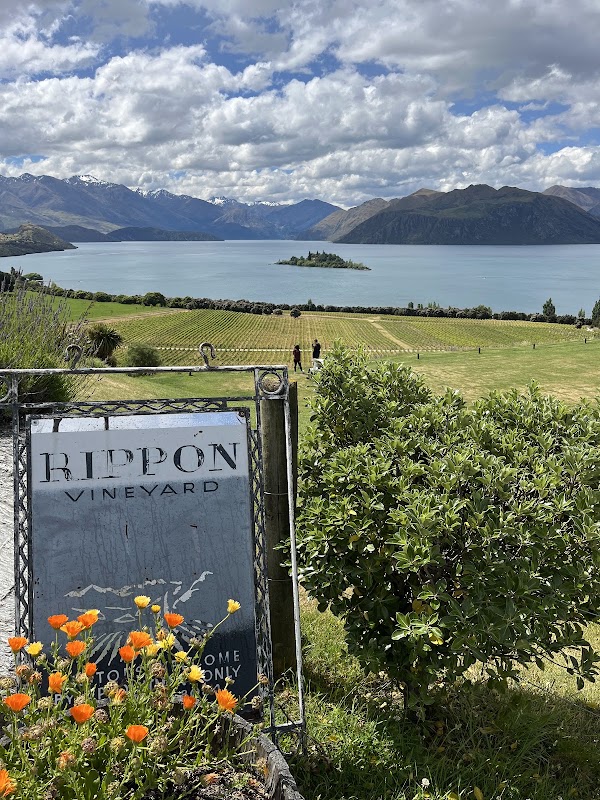 Rippon 4