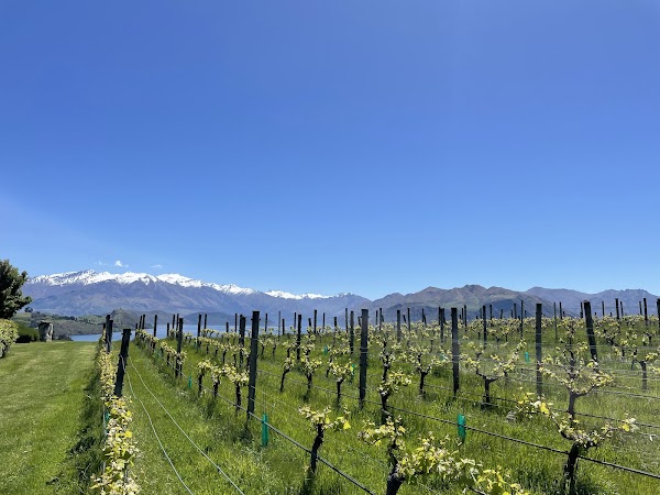 Rippon 3