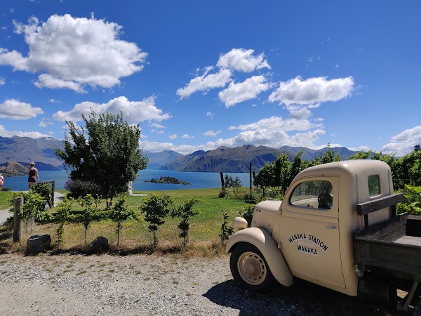 Rippon 2