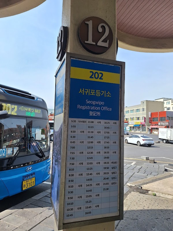 Jeju Bus Terminal