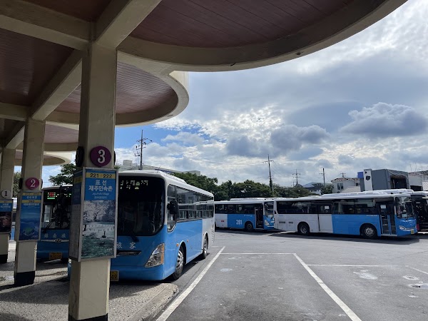 Jeju Bus Terminal 5