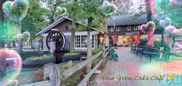 Four Green Cats Cafe 4