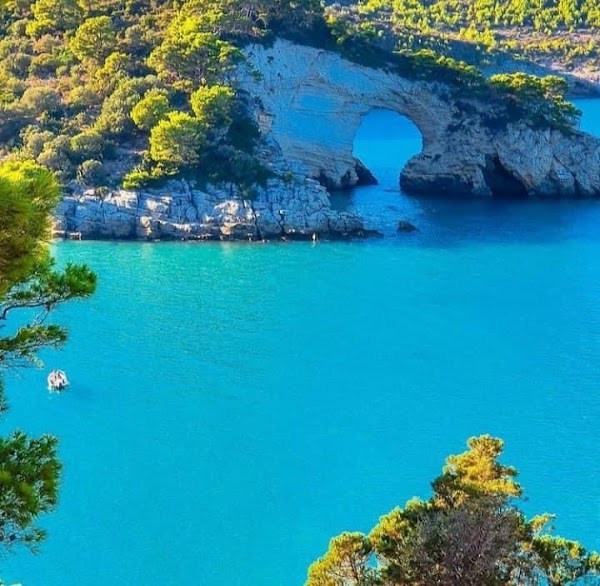 Baia delle Zagare 4