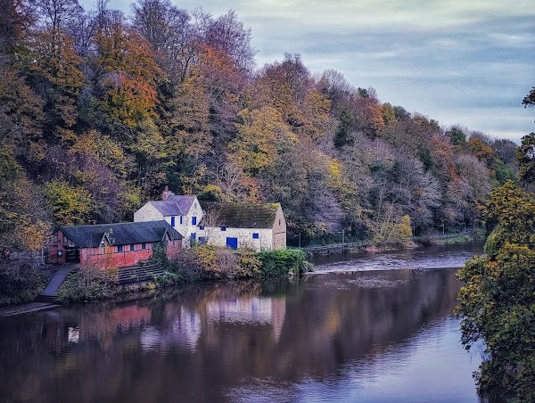 Riverside walk